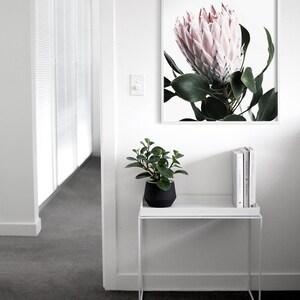 May include: A white side table with a potted plant and a framed print of a pink protea flower. The print is on a white background.