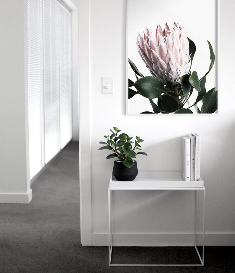 May include: A white side table with a potted plant and a framed print of a pink protea flower. The print is on a white background.