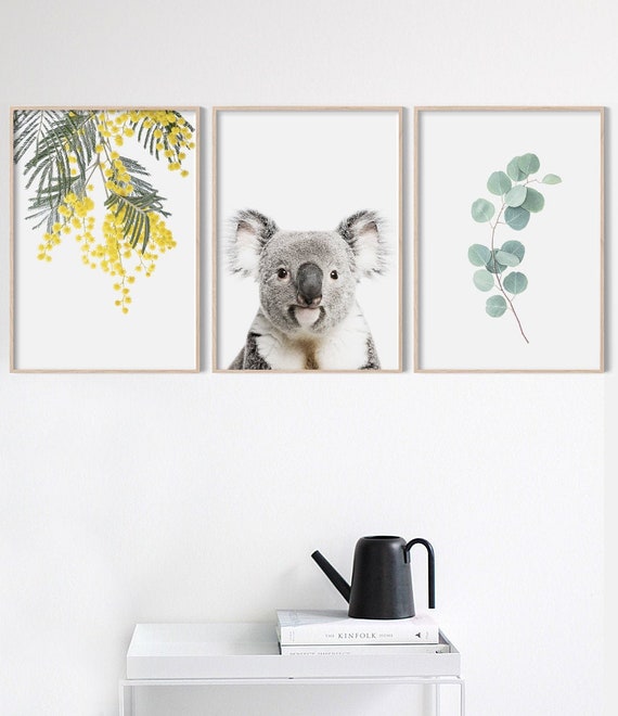 Set of 3 Australian Prints | Koala, Eucalyptus Leaves & Wattle Wall Art | Modern Australiana Photography Artwork | Aussie Decor Posters