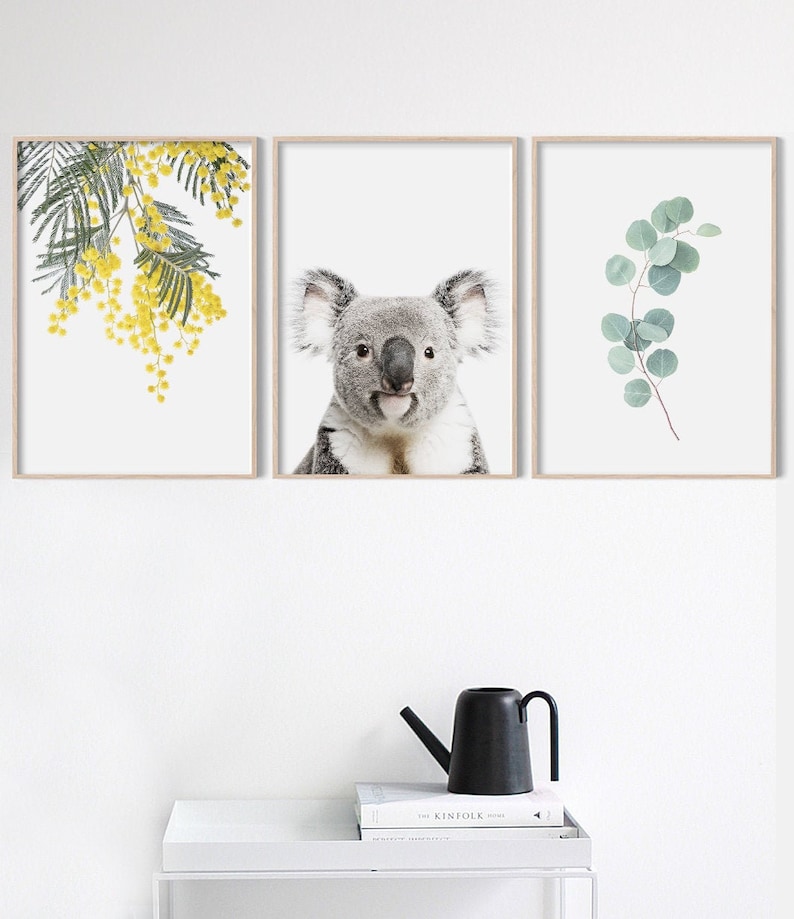 May include: Three framed prints with a white background. The left print features a branch of yellow mimosa flowers. The middle print features a koala bear. The right print features a branch of eucalyptus leaves.