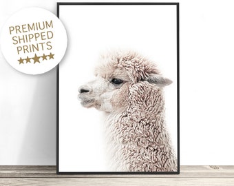 Llama Print, Alpaca Wall Art Print, Llama Photography, Llama Wall Art, Farmhouse Wall Decor, Boho Wall Art, Neutral Farm Animal Poster Print