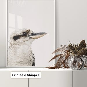 May include: A framed wall art print featuring a detailed profile portrait of a kookaburra bird with white, grey, and brown plumage. The bird has a dark eye stripe and a long, pointed beak, set against a plain, light-colored background.