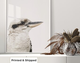 Kookaburra Print | Native Australian Bird Wall Art | Native Australian Wildlife Photography | Australian Wall Decor | Kookaburra Photograph