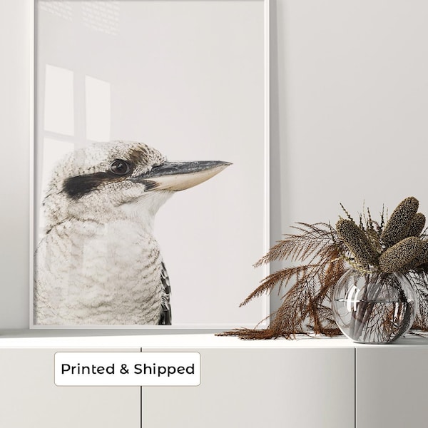 Kookaburra Print | Native Australian Bird Wall Art | Native Australian Wildlife Photography | Australian Wall Decor | Kookaburra Photograph