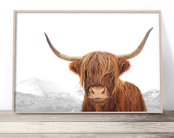 Highland Cow Print | Scottish Art | Cow Photography Print | Scotland Animal Wall Art | Modern Farmhouse Decor | Hairy Bull Poster