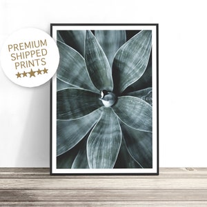 Sukkulente Kunst, botanische Kunstdruck, Pflanzendruck, Kaktus Wandkunst, Sukkulentendruck, botanisches Posterdruck, Kaktusdruck, grünes Dekor, Wüste