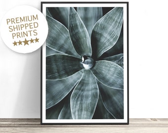 Succulent Art, Botanical Art Print, Plant Print, Cactus Wall Art, Succulent Print, Botanical Poster Print, Cactus Print, Green Decor, Desert