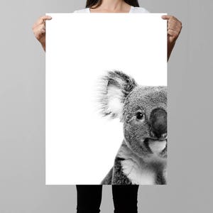 May include: Black and white photograph of a koala's face peeking out from the right side of the image.