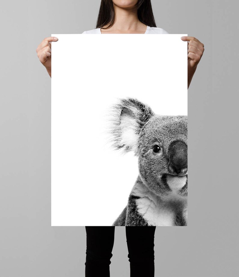 May include: Black and white photograph of a koala's face peeking out from the right side of the image.