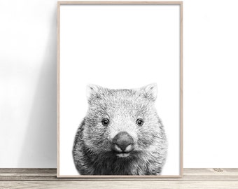 May include: Black and white illustration of a wombat's face. The wombat is looking directly at the viewer with a curious expression.