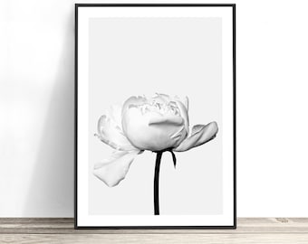 Peony Wall Art, Black and White Flower Photography, Botanical Print, Peony Photography, Flower Art Print, Floral Wall Art, Floral Art Print