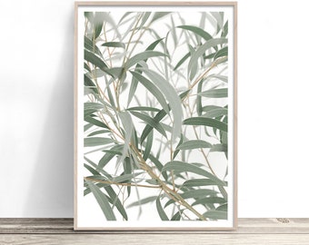 Eucalyptus Leaves Print | Australian Art | Bush Foliage Artwork | Gum Tree Photographic Poster | Modern Australiana