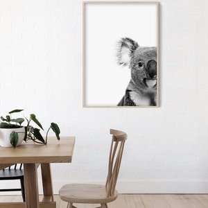 May include: Black and white photograph of a koala bear's face peeking out from the right side of a wooden frame.
