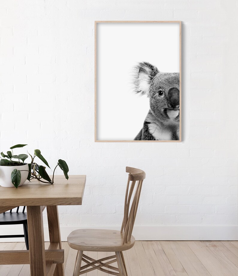 May include: Black and white photograph of a koala bear's face peeking out from the right side of a wooden frame.