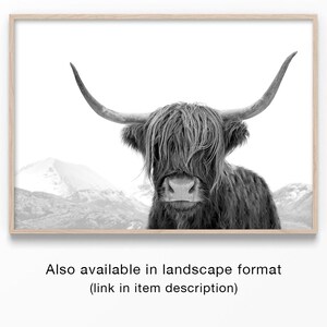 Highland Cow Art, Black and White Print, Animal Photography, Highland Cow Print, Animal Art Print, Cow Photo, Bull Print 画像 6