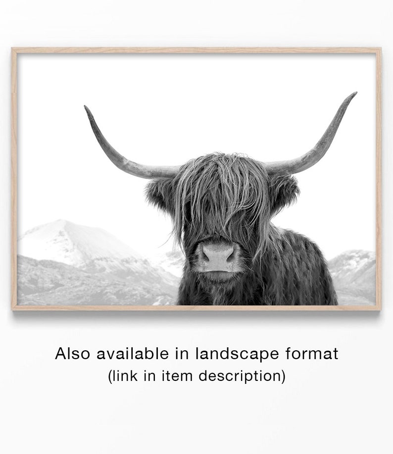 Highland Cow Art, Black and White Print, Animal Photography, Highland Cow Print, Animal Art Print, Cow Photo, Bull Print 画像 6