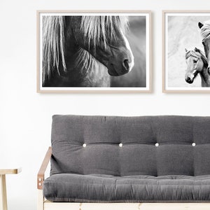 Puede incluir: Dos fotograf&iacute;as en blanco y negro de caballos. La primera fotograf&iacute;a muestra un primer plano de la cabeza de un caballo con su crin cubriendo su rostro. La segunda fotograf&iacute;a muestra dos caballos de pie uno al lado del otro.