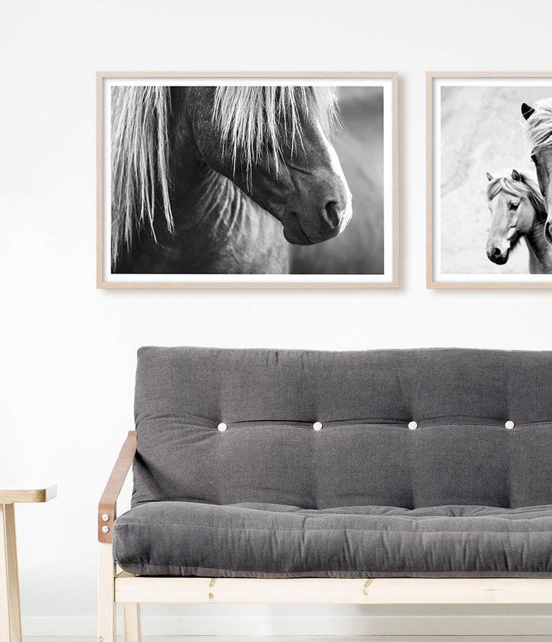 Puede incluir: Dos fotograf&iacute;as en blanco y negro de caballos. La primera fotograf&iacute;a muestra un primer plano de la cabeza de un caballo con su crin cubriendo su rostro. La segunda fotograf&iacute;a muestra dos caballos de pie uno al lado del otro.