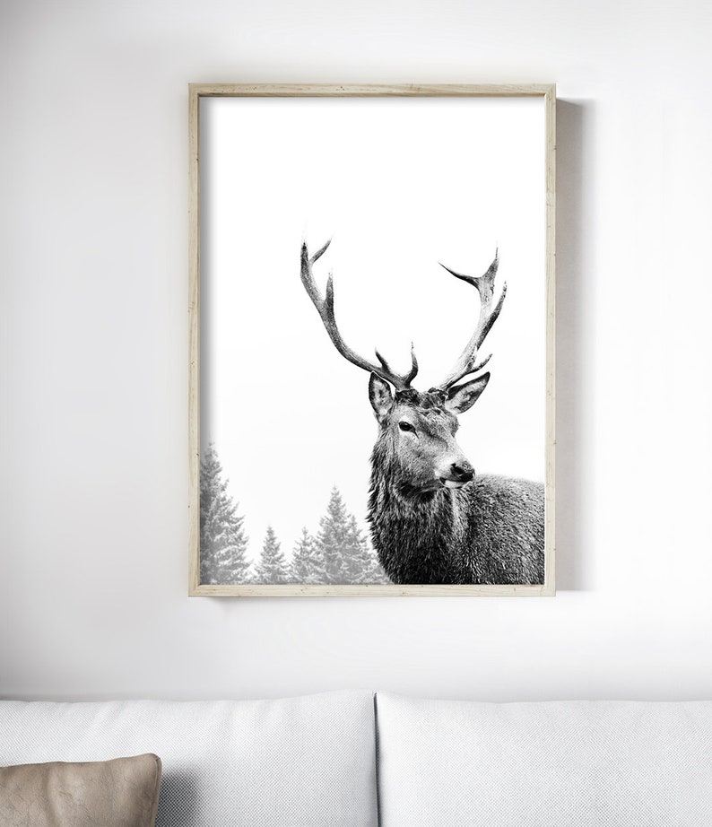 Pode incluir: Fotografia a preto e branco de um veado com grandes chifres de p&eacute; numa floresta nevada. O veado est&aacute; a olhar diretamente para a c&acirc;mara.