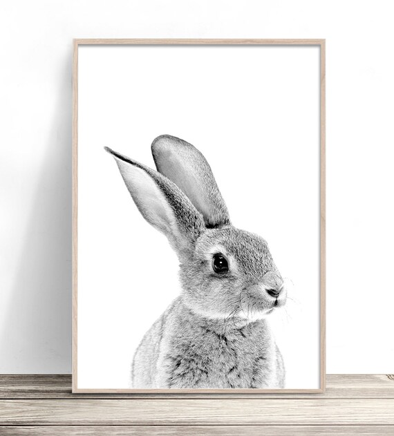 Bunny Rabbit Print, Nursery Animal Print, Baby Room Decor, Rabbit Nursery Animal Art, Woodland Nursery Wall Art, Black and White Kids Room