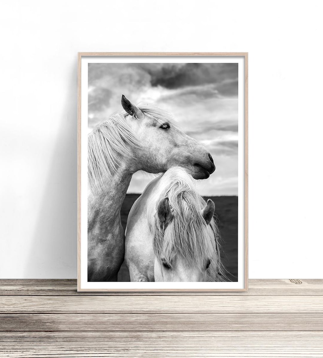 Black and White Horse Print | Wild Horses Wall Art | Horse Photography ...