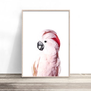 Pink Cockatoo Print | Native Australia Bird Wall Art | Parrot Poster | Bird Photography Artwork Decor