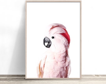 Pink Cockatoo Print | Native Australia Bird Wall Art | Parrot Poster | Bird Photography Artwork Decor