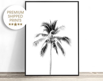 Black and White Palm Tree Print, Tropical Art, Coastal Decor, Beach Wall Art, Photography Print