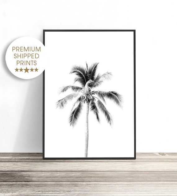 Black and White Palm Tree Print, Tropical Art, Coastal Decor, Beach Wall Art, Photography Print