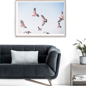 Cockatoo Print, Galah Wall Art, Bird Art, Australian Wildlife Art Print, Parrot Artwork, Flying Birds Photography, Australian Bird Poster image 3