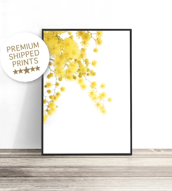 Wattle Print, Australian Native Print, Australian Flora, Flower Photography Print, Yellow Floral Art, Botanical Wall Art, Flower Print