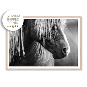 Puede incluir: Fotograf&iacute;a en blanco y negro de la cabeza y el cuello de un caballo. El caballo tiene una melena larga y fluida y una expresi&oacute;n suave y gentil.