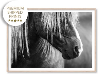 Horse Art Print, Black and White Photography Print, Large Wall Art