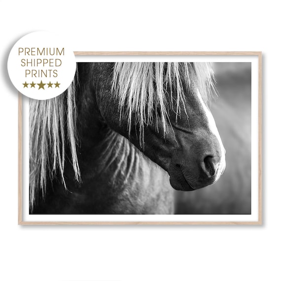 Horse Art Print, Black and White Photography Print, Large Wall Art