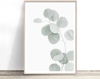 Eucalyptus Leaf Art Print | Native Australian Wall Art | Green Gum Leaves Artwork | Botanical Plant Photography | Australian Flora