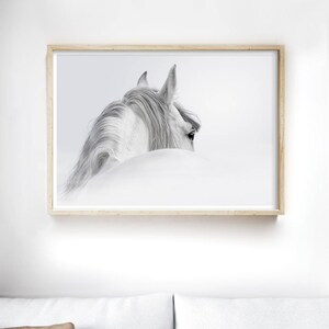Black and White Horse Print, Horse Wall Art, Horse Photography, Animal Art, Horse Art Print, Gift for Horse Lover, Horse Decor image 2