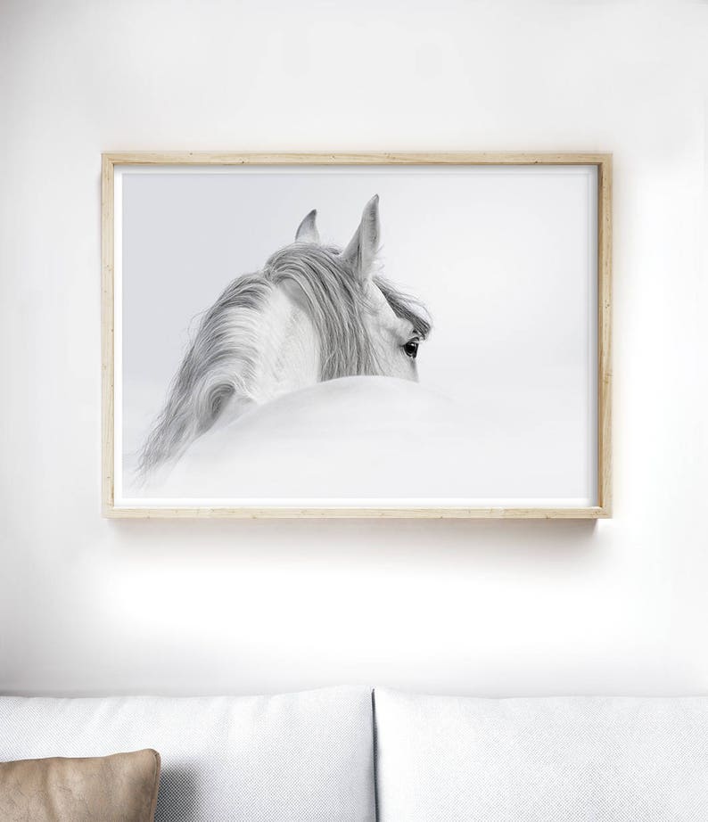 Black and White Horse Print, Horse Wall Art, Horse Photography, Animal Art, Horse Art Print, Gift for Horse Lover, Horse Decor image 2