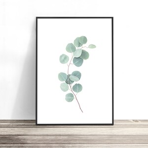Set of 3 Australian Prints | Koala, Eucalyptus Leaves & Wattle Wall Art | Modern Australiana Photography Artwork | Aussie Decor Posters image 3