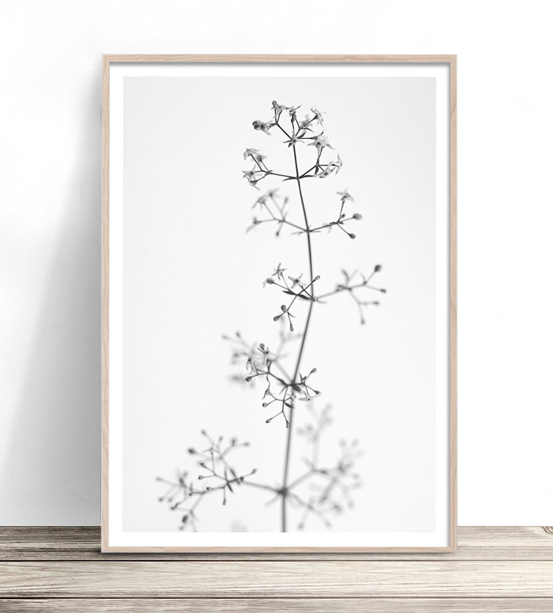Black and White Flower Photography | Floral Wall Art Print ...