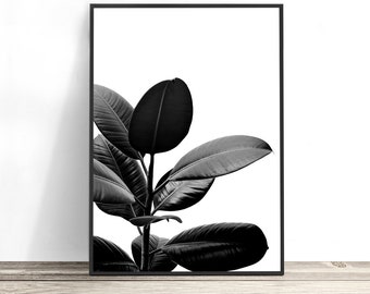 Botanical Print, Black and White Art, Minimalist Art, Botanical Art Print, Affiche Scandinave, Leaf Print, Plant Print Black and White Print