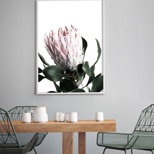 May include: A framed print of a pink protea flower with green leaves against a white background. The print is hanging on a gray wall above a wooden table with two chairs.