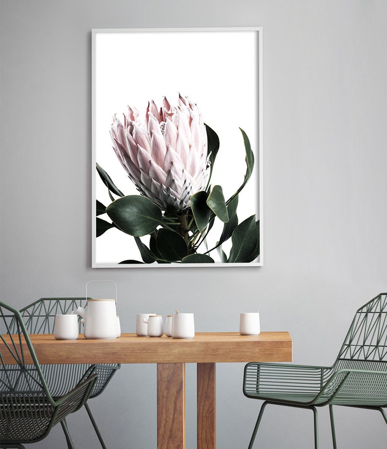 Protea Art Blush Pink Wall Art Flower Photography Protea Etsy Australia