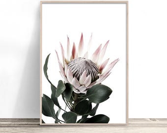 King Protea Print | Floral Wall Art | Pink Floral Wall Decor | Home Decor | Bedroom Prints |