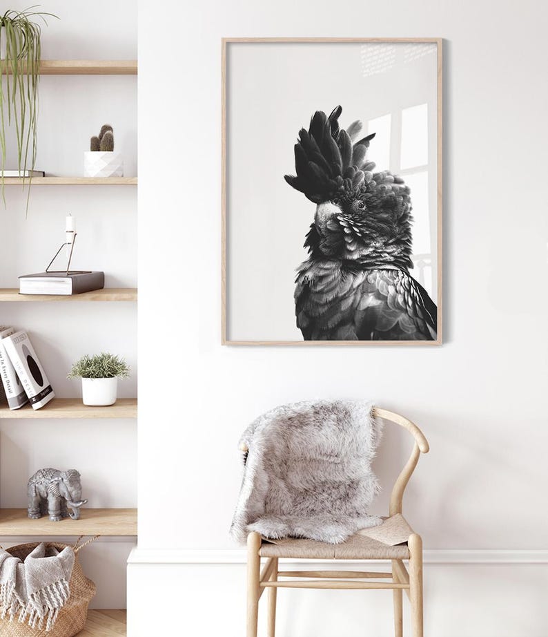 May include: Black and white framed print of a cockatoo. The bird has a prominent crest and detailed feathering. The artwork is displayed on a white wall, with a wooden frame. The image is part of a home decor collection.