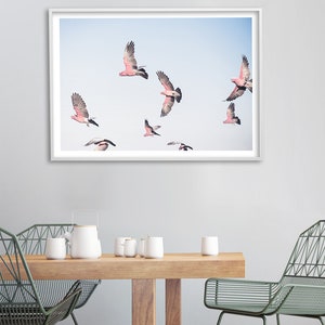 Cockatoo Print, Galah Wall Art, Bird Art, Australian Wildlife Art Print, Parrot Artwork, Flying Birds Photography, Australian Bird Poster image 2