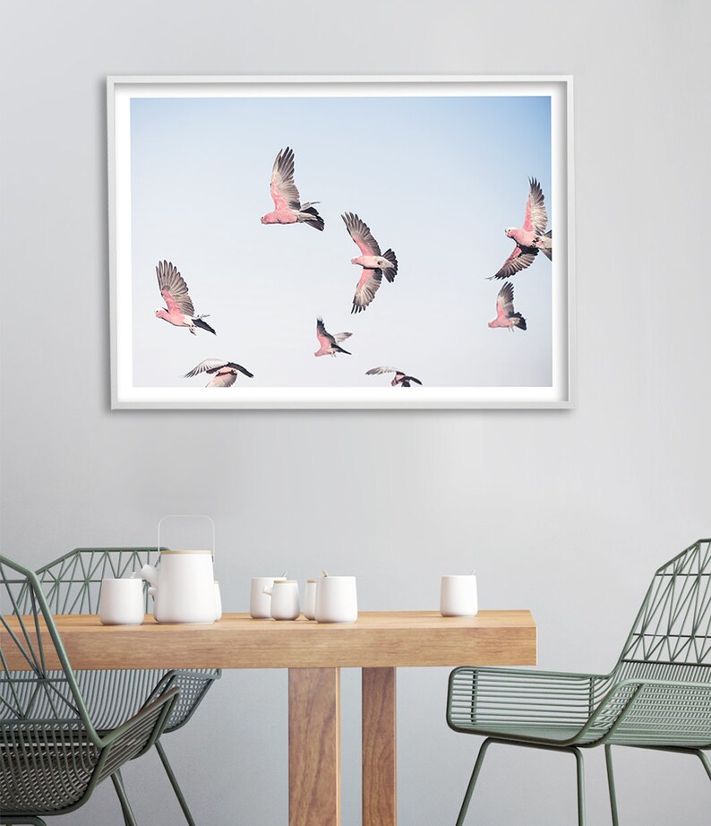 Cockatoo Print, Galah Wall Art, Bird Art, Australian Wildlife Art Print, Parrot Artwork, Flying Birds Photography, Australian Bird Poster image 2