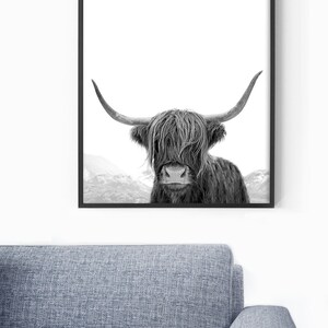 Highland Cow Art, Black and White Print, Animal Photography, Highland Cow Print, Animal Art Print, Cow Photo, Bull Print 画像 3