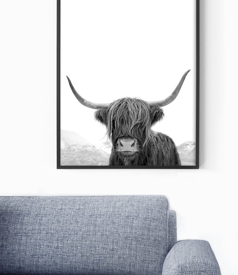 Highland Cow Art, Black and White Print, Animal Photography, Highland Cow Print, Animal Art Print, Cow Photo, Bull Print 画像 3