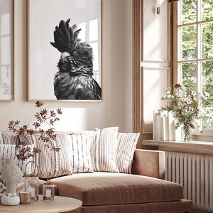 May include: Black and white framed print of a black cockatoo. The bird has a prominent crest and detailed feathering. The print is displayed above a brown sofa with striped pillows, creating a cozy, neutral-toned interior.