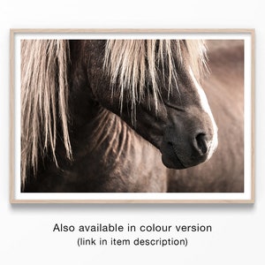 Puede incluir: Un primer plano de la cabeza de un caballo marr&oacute;n con una larga y fluida crin. La cabeza del caballo est&aacute; girada hacia un lado y sus ojos est&aacute;n cerrados. El pelaje del caballo es de un color marr&oacute;n intenso y su crin es de un color marr&oacute;n m&aacute;s claro.